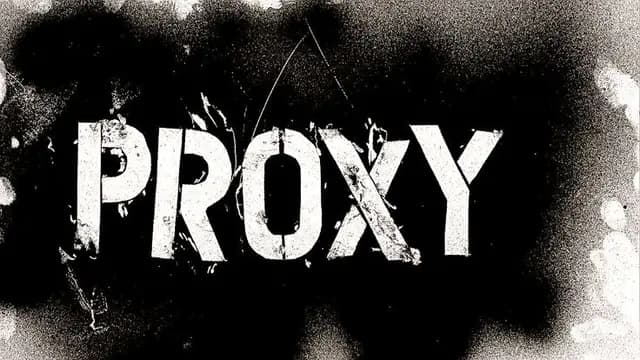 ANONYMOUS PROXY SERVICE RELAYS (FAST & SERCURE)  Digital product
